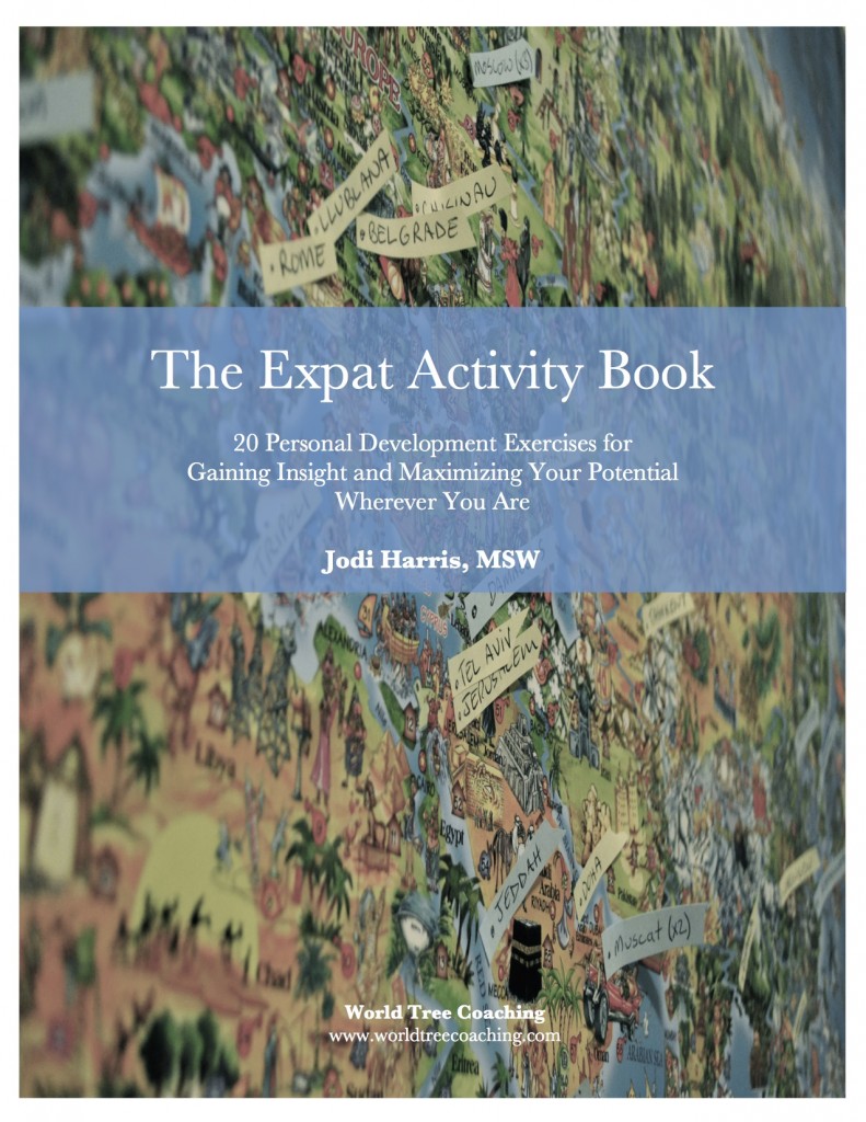 Expat-Activity-Book