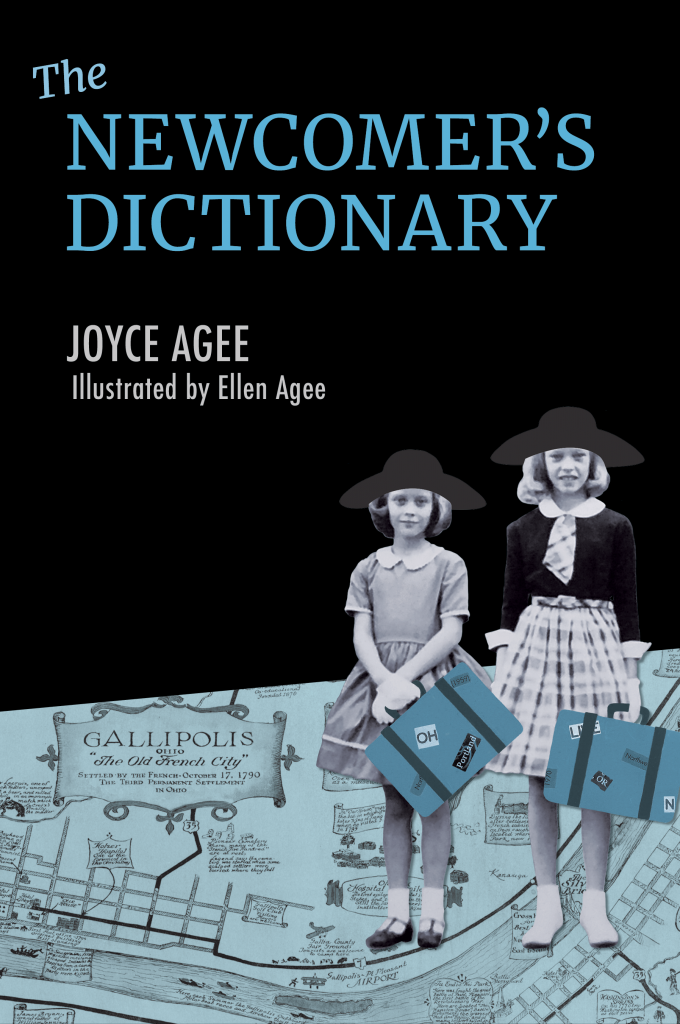 Book Cover: The Newcomer's Dictionary
