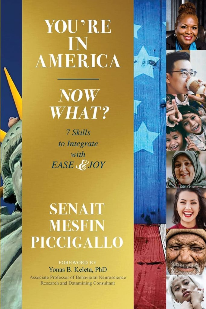 Book Cover: You're in America - Now What?